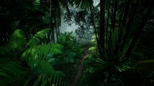 Timelapse View Over A Beautiful Lush Green Jungle. 3D Rendering.