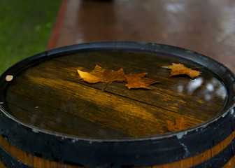 Barrel with leaves