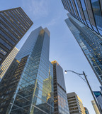 Fototapeta Paryż - Skyscrapers and high - rise buildings in the Financial District of Downtown Toronto  from below