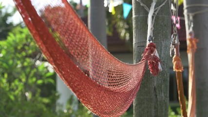 Wall Mural - Hammock hang on tree, slow motion footage