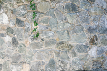 Wall Mural - Texture of an old stone wall. Fragment of an old park stone fence