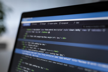 Wall Mural - website design. developing programming and coding technologies.
