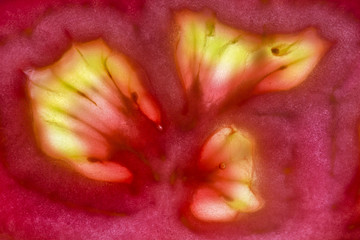 Red tomato slice background, top view, closeup, macro