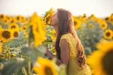 Beautiful Woman With Long Hair In A Field Of Sunflowers In The Summer