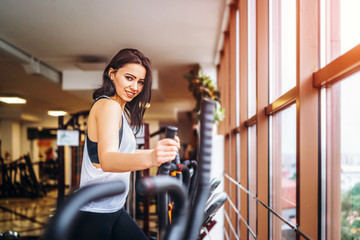 Wall Mural - Cute sporty girl workout in the gym