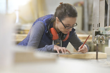 Wall Mural - Woman in professional training, wood industry