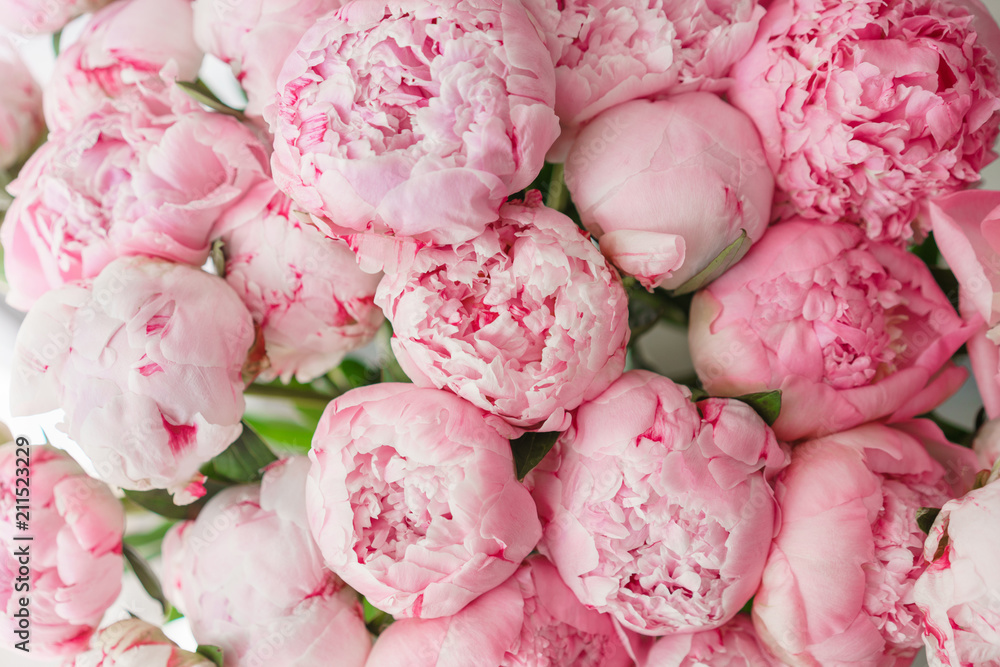 Wallpaper. Lovely flowers pink peonies . Floral compositions, daylight. - obrazy, fototapety, plakaty 
