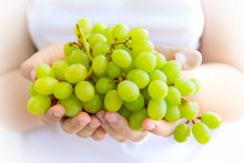 Women's Hands Holding A Large Handful Of Ripe Bunch Of Grapes