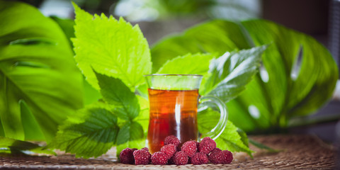 Berry tea made from raspberry, organic tea , fresh  raspberry оn a natural green background.