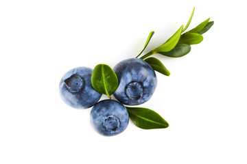 Blue berry isolated on white background