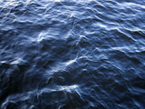 Fototapeta Konie - Blue water surface, light waves with sun flares, may be used as background or texture