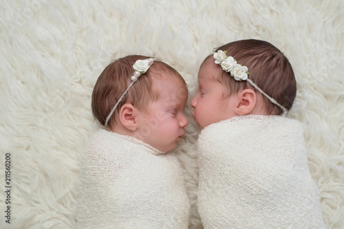 Fototapeta Swaddled Newborn Twin Baby Girls