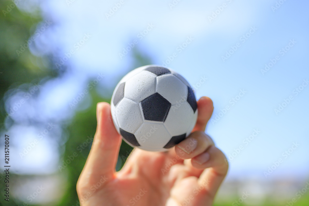 ミニチュアサッカーボール 【公式通販】