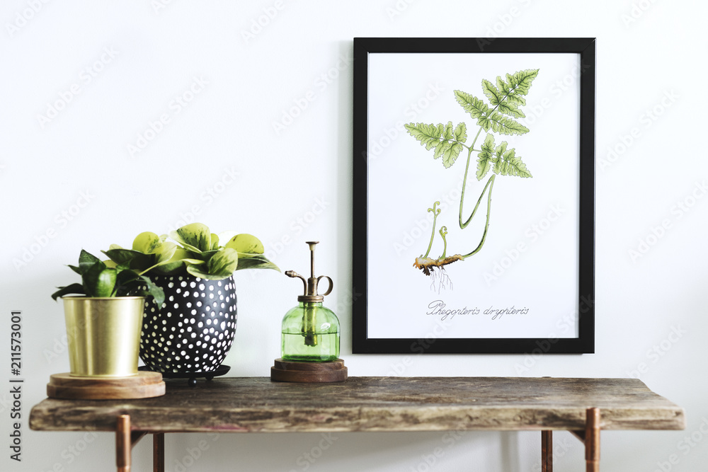 Obraz na płótnie Stylish scandinavian sapce with wooden console, mock up poster frame, beautiful plants and sprinkler. Modern composition of home interior.  w salonie
