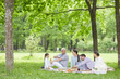 © pressmaster - Two couples and cute little girl enjoying picnic on green lawn on hot summer day