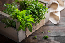 Mixed Summer Fresh Herbs On Rustic Wooden Background, Copy Space