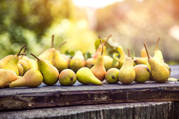 Poster - Autumn pears on wood