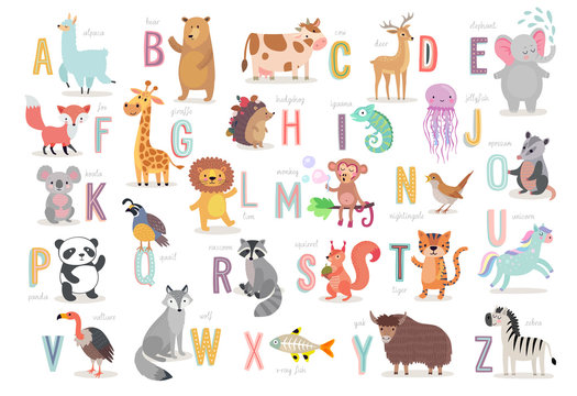Fototapete - Cute Animals alphabet for kids education. Funny hand drawn style characters.