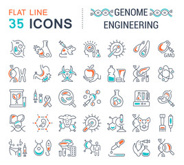 Wall Mural - set vector line icons of genome engineering.