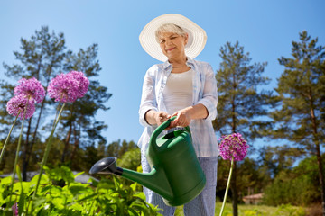 Canvas Print - gardening and people concept - happy senior woman watering allium flowers at summer garden