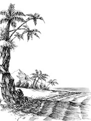 Beach and sea view, palm trees on shore