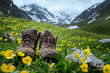 Pair of hiking boots lying in the grass
