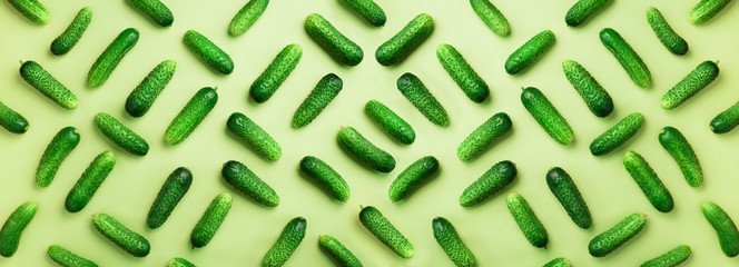 Wall Mural - creative pattern of fresh cucumbers on green background. top view. copy space. banner. minimal desig
