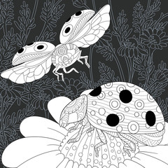 Wall Mural - Ladybugs in black and white line art style. Coloring page.