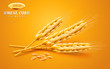 Detailed wheat ears, oats or barley isolated on a yellow background. Natural ingredient element. Healthy food or agriculture, bread or crop theme. Vector realistic 3d illustration.