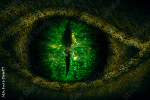 Dragon eye. Fototapeta
