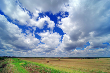 Hay bail harvesting in a summer field landscape. Agriculture field with cloudy sky - Rural nature in the farm land