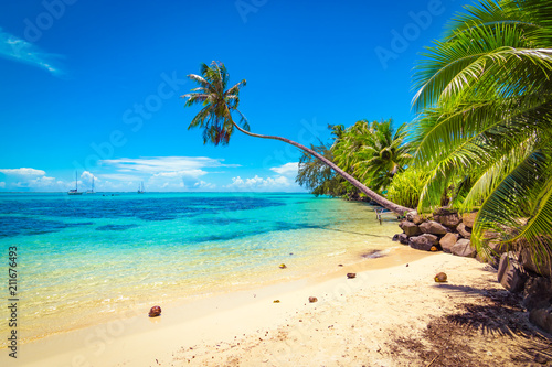 Fotomural Tropical ocean beach, coconut palm trees and transparent turquoise water