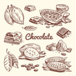 Hand drawn cacao, leaves, cocoa seeds, sweet dessert and chocolate bar. Cocoa sketch vector collection