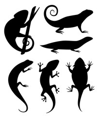 Wall Mural - Black silhouette. Cartoon chameleon climb on branch. Small lizards. Animal flat icon collection. Vector illustration isolated on white background
