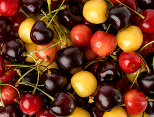 Wall Mural - Background of ripe cherries of different colors. The view from the top.