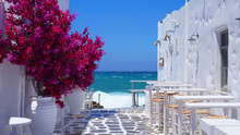 Photo Of Beautiful Bougainvillea Flower With Awsome Colors In Picturesque Greek Island With Deep Blue Waves