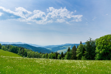 germany, endless green nature landscape panorama in black forest holiday region