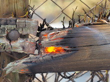 Burning Fence Post At Bush Fire In An Suburban Area Of Knox City In Melbourne East.