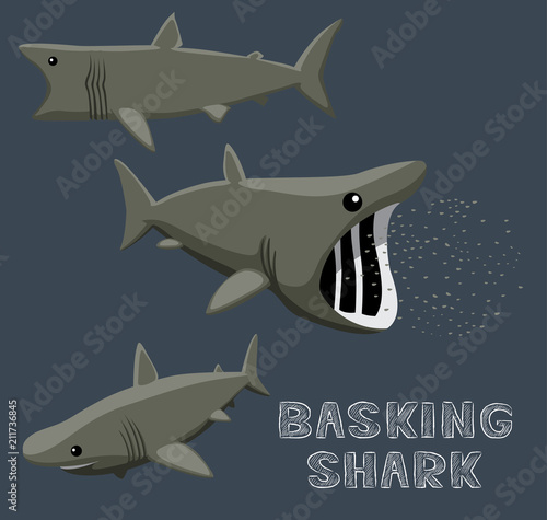 Fényképezés  Basking Shark Cartoon Vector Illustration