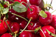 Closeup of fresh red cherry fruit in a white colander