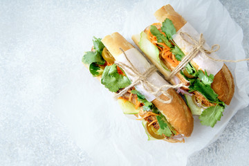 Classical banh-mi sandwich with sliced grilled pork tenderloin, shredded carrots and peeled cucumbers, jalapeno peppers and cilantro on white textured background. Top view, copy space