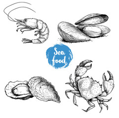 Seafood sketches set. Fresh shrimp, mussels and oysters, crab. Sea market products collection. Vector illustration isolated on white background.