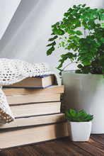 A Stack Of Books And A Green Plant On A Table With Candle. Reading Time Concept. Moody Fall Morning. Interior 