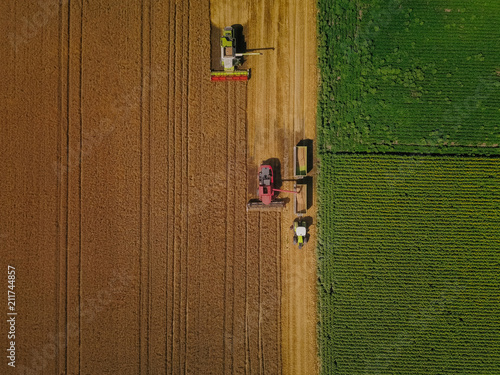 Fotomural Agriculture in action