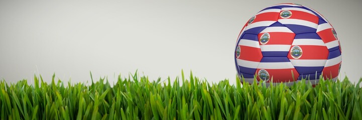 Canvas Print - Composite image of football in costa rica colours