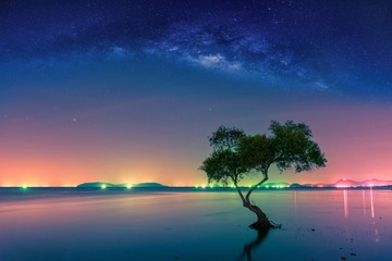 Wall Mural - landscape with milky way galaxy. night sky with stars and silhouette mangrove tree in sea. long expo