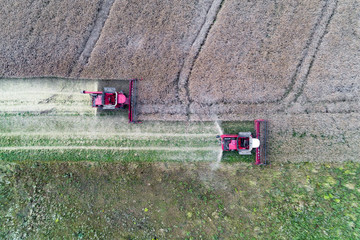 Poster - Tractors working on the field