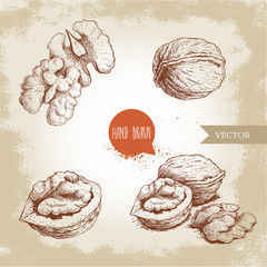 Wall Mural - Hand drawn sketch style walnuts set. Whole, half and walnut seed. Eco healthy food vector illustration. Isolated on old looking background. Retro style.