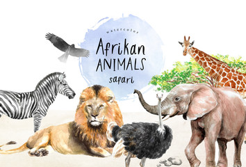 Wall Mural - watercolor illustration of African animals: zebra, lion, ostrich, elephant, giraffe, eagle, southern savannah tree and stones, a set of drawings from the hands of animals in the zoo