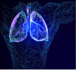 human lungs. Abstract image of a human lungs in the form of a starry sky or space, consisting of points, lines, and shapes in the form of planets, stars and the universe. low poly vector